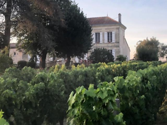 Chateau Couchebout Bed & Breakfast Pugnac Exterior photo